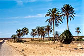 La riserva naturale di Souss-Massa - Marocco meridionale.